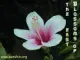 1 擷圖