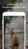 Captura de pantalla 3