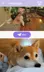 4 擷圖