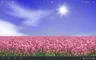 スクリーンショット2