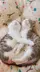 2 擷圖