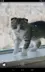 4 擷圖