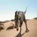 2 擷圖