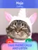 4 擷圖