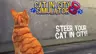 स्क्रीनशॉट 4