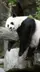 3 擷圖