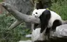 2 擷圖