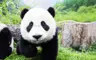 1 擷圖
