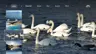 2 擷圖
