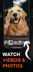 스크린샷 1