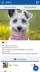 2 擷圖