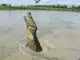 1 擷圖
