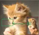 2 擷圖