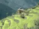 스크린샷 1