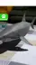 Capturas de tela 3