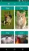 4 擷圖