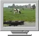 1 擷圖