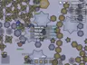 Schermafbeelding 1