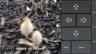Captura de pantalla 1
