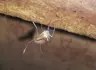 2 擷圖