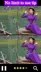 3 擷圖