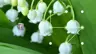 Ảnh chụp màn hình 2