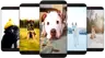 1 擷圖